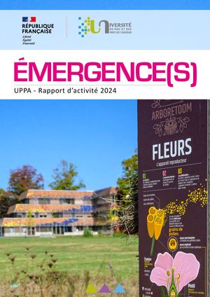Emergence(s) - Rapport d'activité 2024