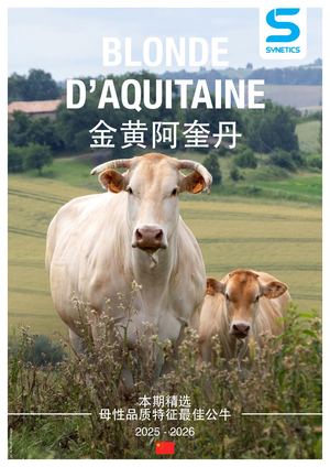 Chi Plaquette Blonde D'aquitaine 2025