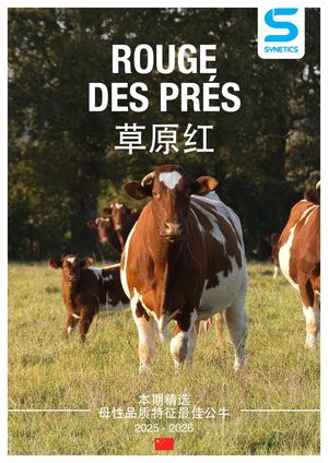 Chi Plaquette Rouge Des Prés 2025