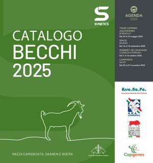 2025 Synetics Export Goat Catalogue Ita