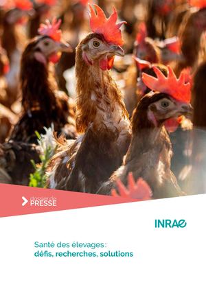 Santé des élevages : défis, recherches, solutions