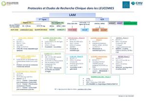 OCR/CHUTOULOUSE_Leucemie_10/2025