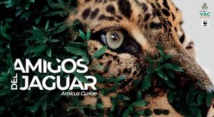 Amigos del jaguar