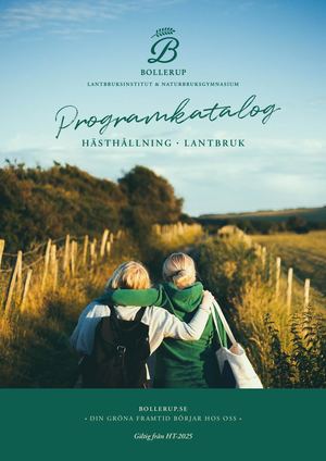 Programkatalog 2025 2026