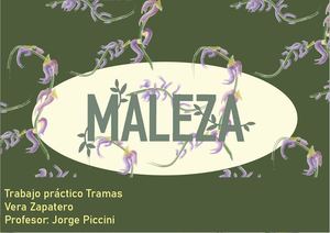 Catalogo Tramas Vera Zapatero