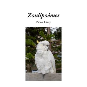 Zoulipoèmes