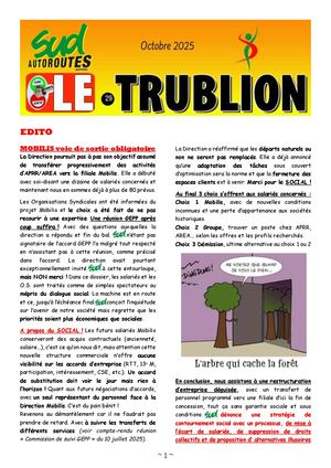 Trublion 29