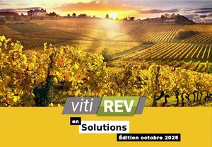 VitiRev en solutions