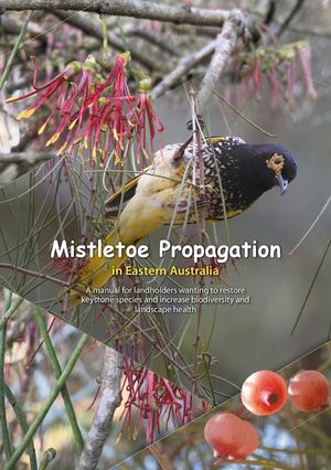Mistletoe Propagation Manual