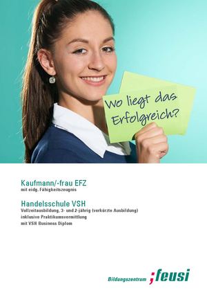 Handelsschule VSH, Kaufmann/ Kauffrau EFZ Vollzeitausbildung, 3- und 2-jährig (verkürzte Ausbildung), Bern
