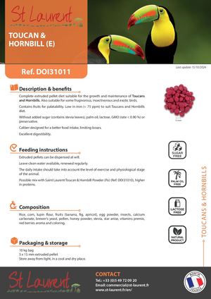DOI31011 - Saint Laurent Toucan & Hornbill (E) EN