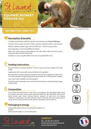 DMA11010 DMA11011 - Saint Laurent Squirrel Monkey Powder (Po) EN