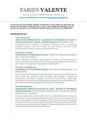 Cv Pro Fabien Valente
