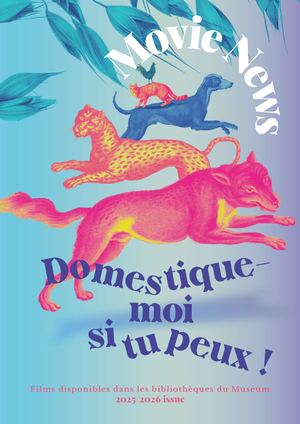 Filmographie Domestique