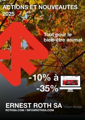 Frrelance Automne Online 2025