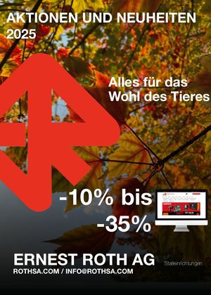 Derelance Automne Online 2025