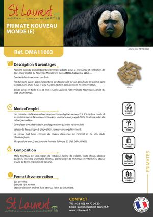 DMA11004 - FT Saint Laurent Primate NM