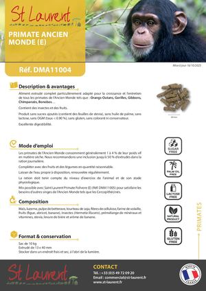 DMA11004 - FT Saint Laurent Primate AM