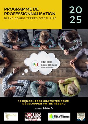 Programme Local De Professionnalisation