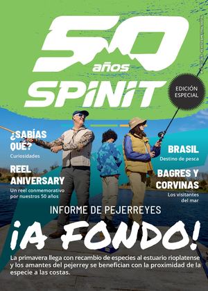 Revista Spinit N°11 2025