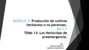 TEMA 13: Los Herbicidas de preemergencia.