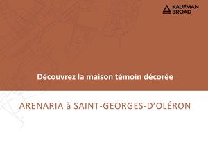 55051 - Maison décorée Arénaria