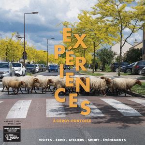 Expériences à Cergy-Pontoise | d'avril à juin 2025