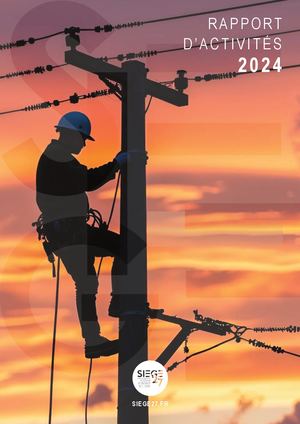 RAPPORT D'ACTIVITÉS 2024