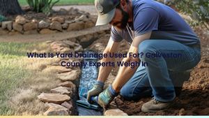 What Is Yard Drainage Used For? Galveston County Experts Weigh In