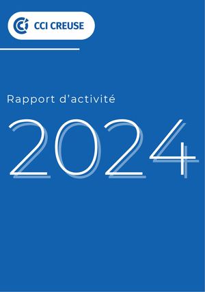 Rapport D'activité 2024