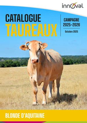 Innoval Catalogue Blonde