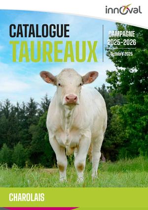 Innoval Catalogue Charolais