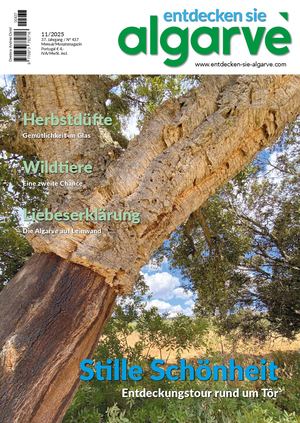 Esa Vorschau Calameo