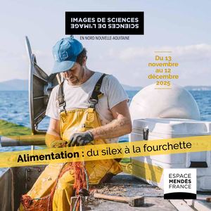 Images de sciences,sciences de l'image 2025