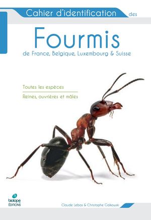 Cahier d'identification des Fourmis