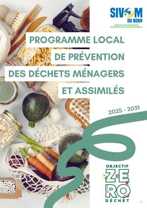 PLPDMA SIVOM DU BORN 2025-2031