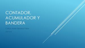 Contador, Acumulador Y Bandera