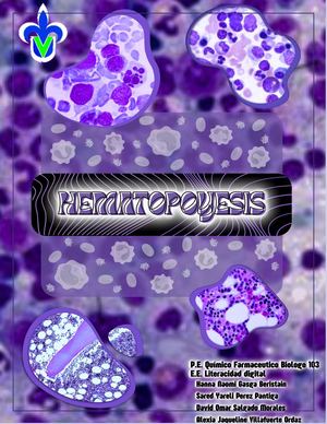 Hematopoyesis