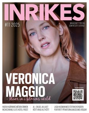 Inrikes 11 2025