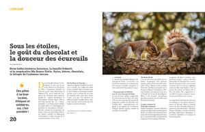 Sous Les éToiles Le Goût Du Chocolat