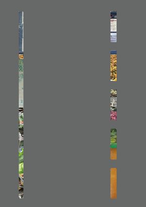 Город-огород