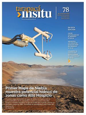 Revista Tarapaca Insitu - Edicion 78