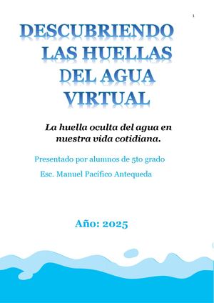 Descubriendo El Agua Virtual