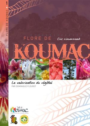Flore de Koumac, la valorisation du végétal