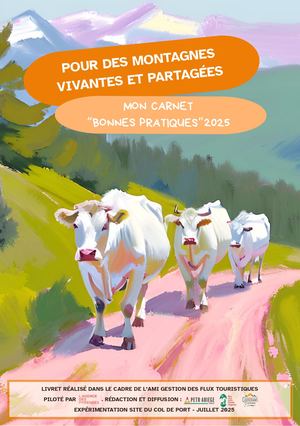 Carnet Bonnes Pratiques 2025