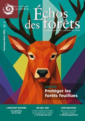 Échos des forêts automne-hiver 2025