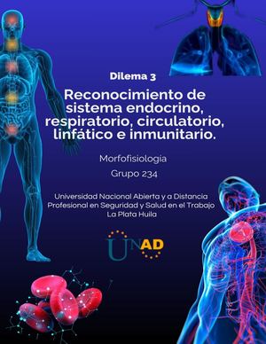 Dilema 3 Grupo 234