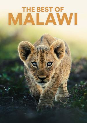 Best Of Malawi 2026