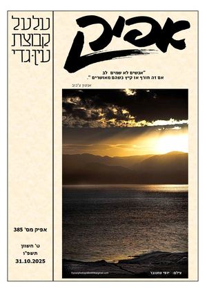 אפיק 385 10 2025