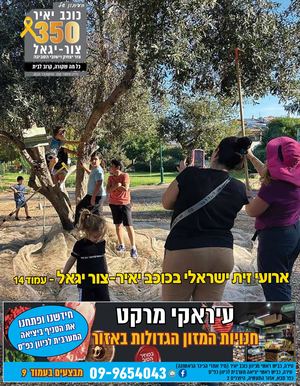צור יגאל 350